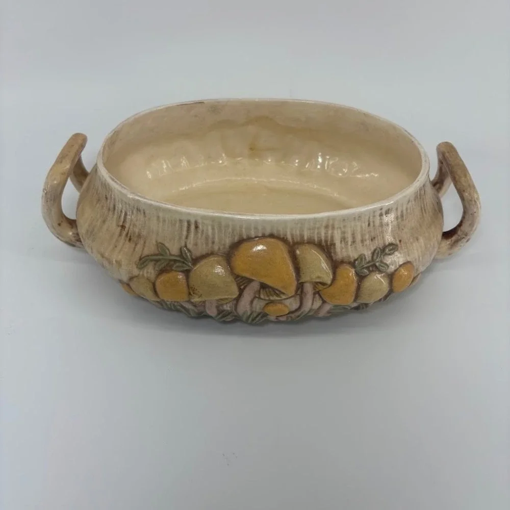 Vtg 1970s Arnel's Mushroom‎ Soup Tureen/ Dish Retro Cottagecore MCM Decor